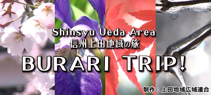 dvd-menu-02